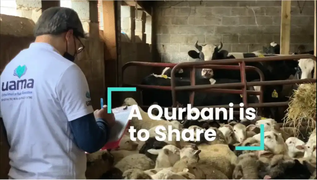 Qurbani Donation in the USA