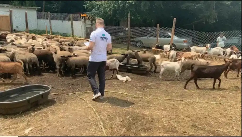 Global Qurbani Donation Outreach