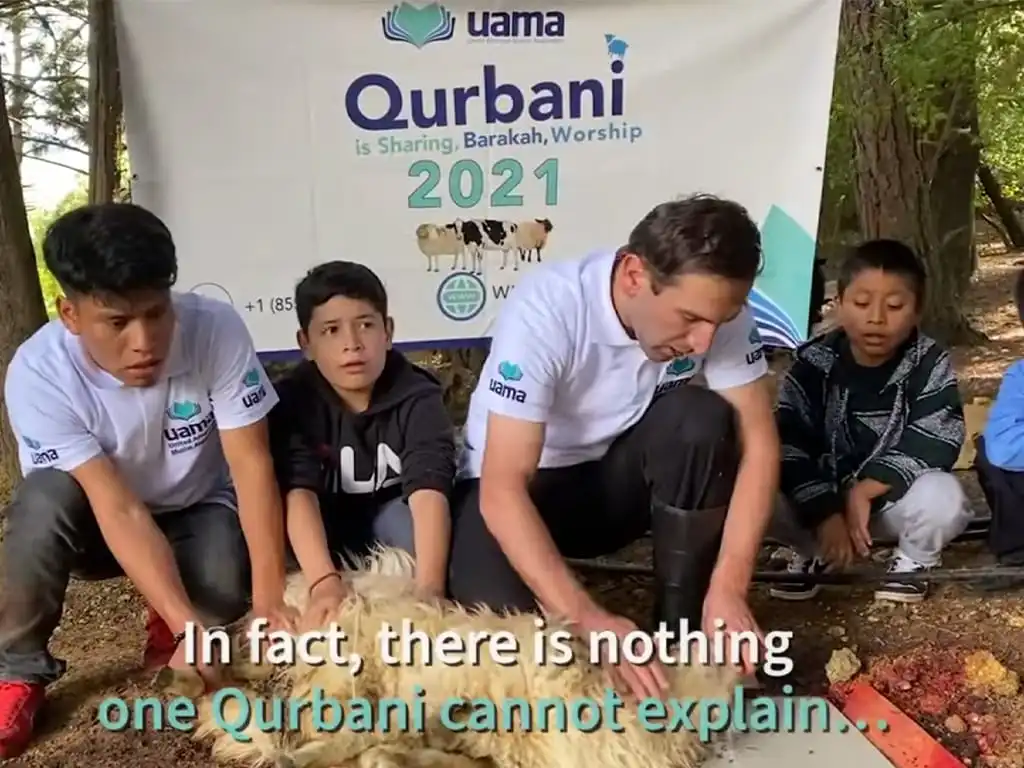 qurbani